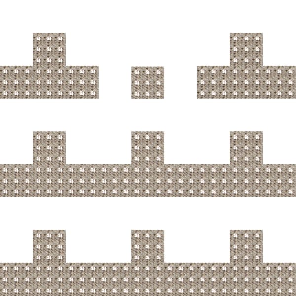 Ashima Raizada, Tetris (17), 2021