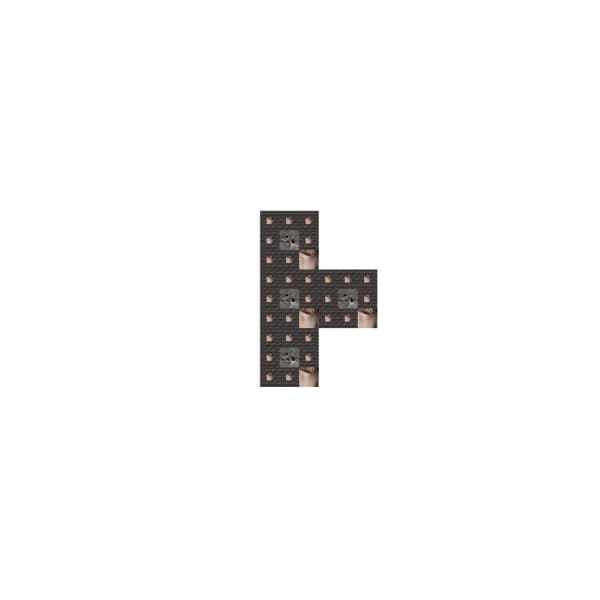Ashima Raizada, Tetris (14), 2021