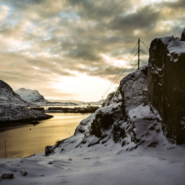 What If You Were My Sabine?