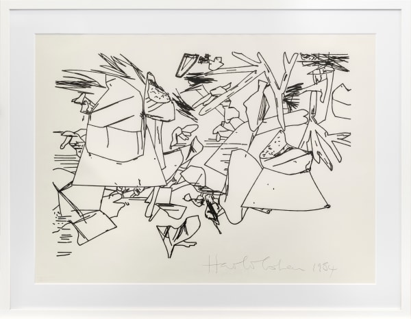 Harold Cohen, Untitled (i23-2594), 1984