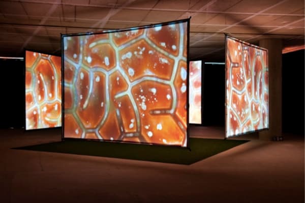 Aziz + Cucher, Synaptic Bliss: Villette, 2004