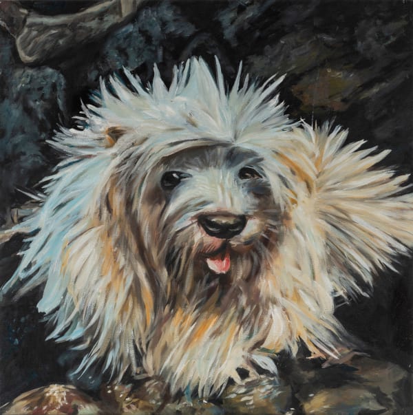 Alexander Reben, A Brown and White Dog Laying on Top of a Couch, 2019