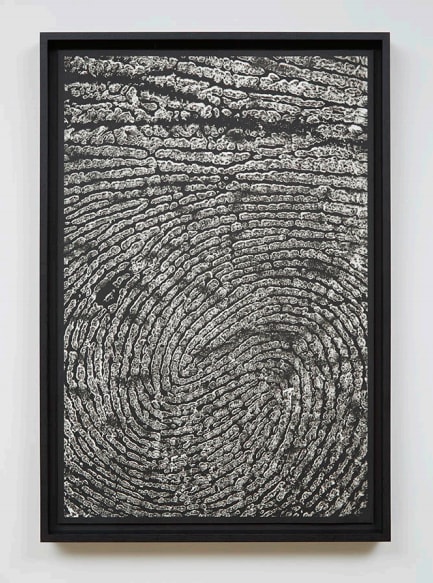 Alinka Echeverria, M-Theory III, 2015