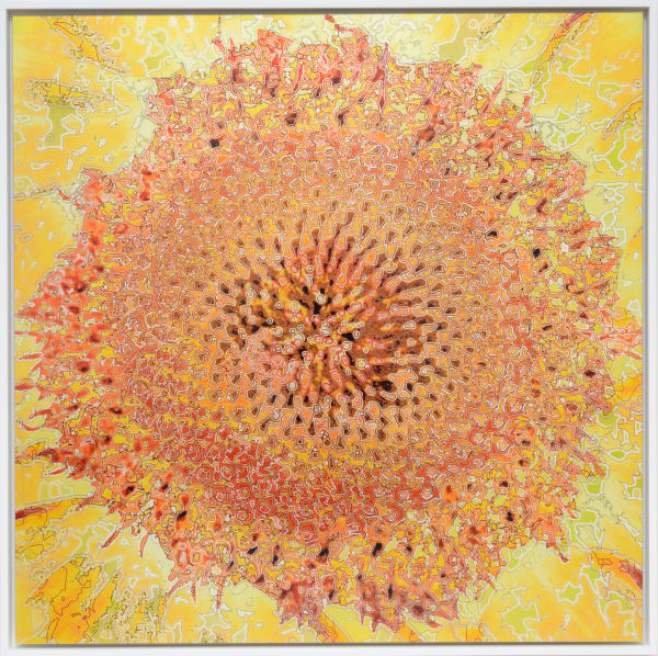 Aziz + Cucher, Scenapse Helios, 2013