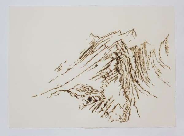 Saad Qureshi, Scorched Lines - S2, 2016