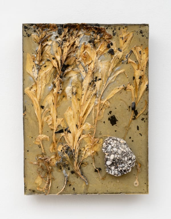 Aida Mahmudova, Untitled