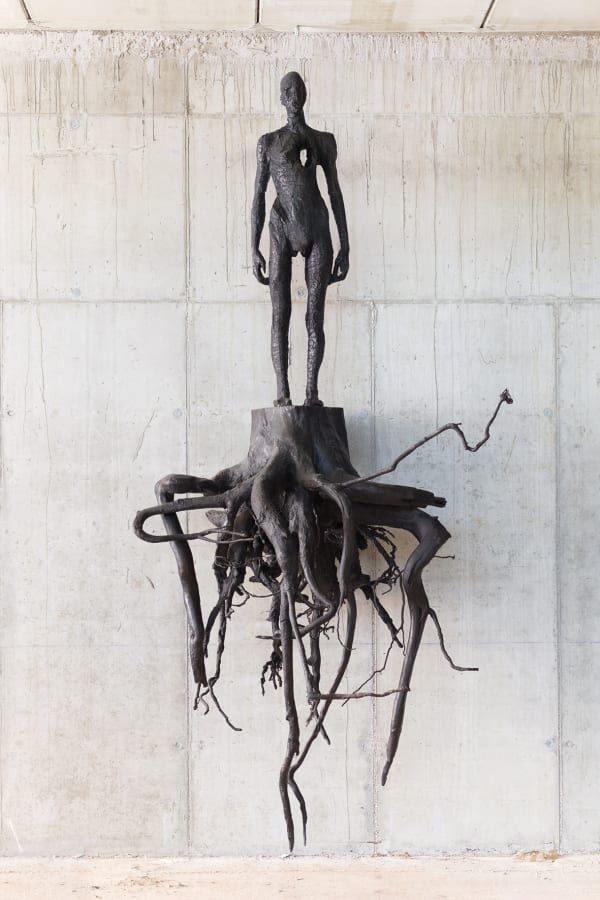 Aron Demetz, Heimat (roots), 2010