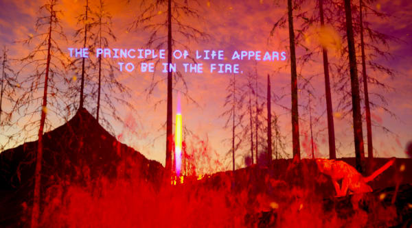 Alice Bucknell, The Alluvials Level 4: Fire Walk With Me, 2024