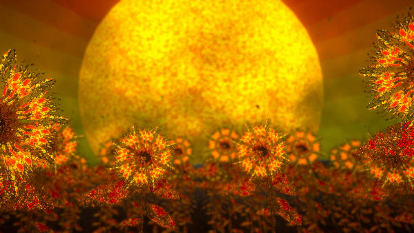 Mbryonic (Tom Szrites & Xan Adderley) with Xavier Sole, Sun Followers, 2018