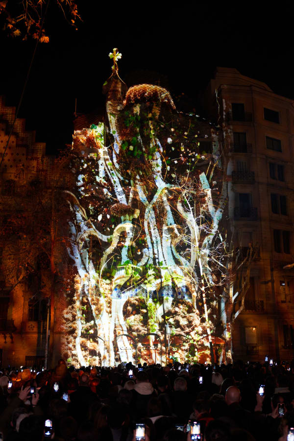 Sofia Crespo, Structures of Being, 2024