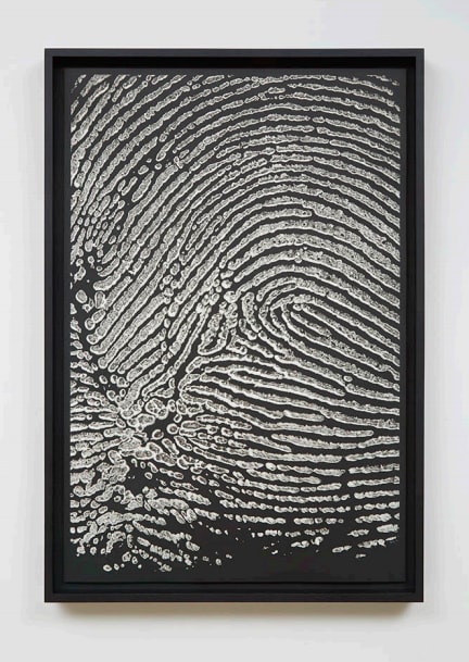 Alinka Echeverria, M-Theory I, 2015