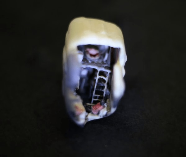 Ziv Schneider & Caitlin Robinson, Thelma, 2017