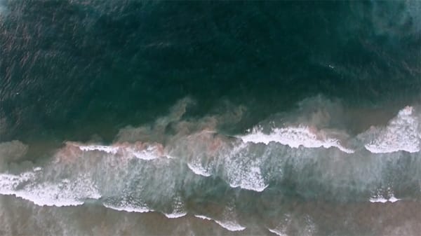 Basma Alsharif, Ouroboros, 2017