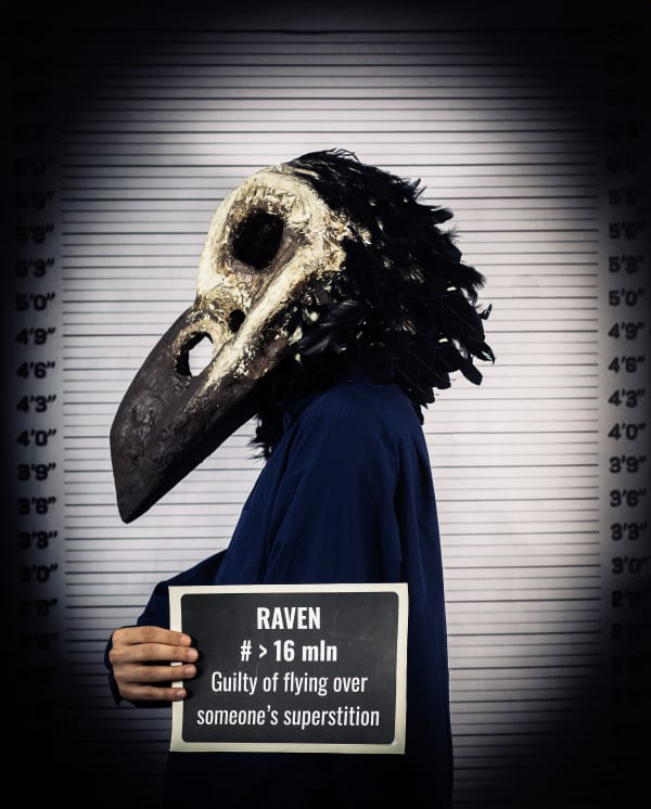 Sabina Jafar, Raven, 2025