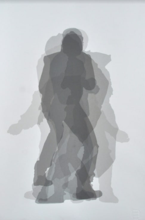 Aziz + Cucher, Shadow Play #1, 2018