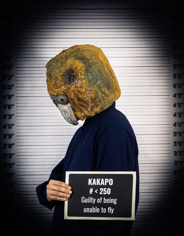 Sabina Jafar, Kakapo, 2025