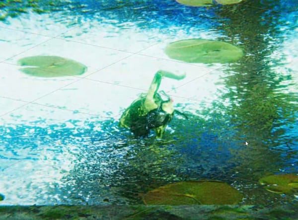 Sian Fan, Incantation, 2024