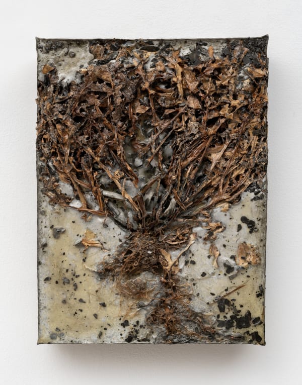 Aida Mahmudova, From Immortality Series, 2022