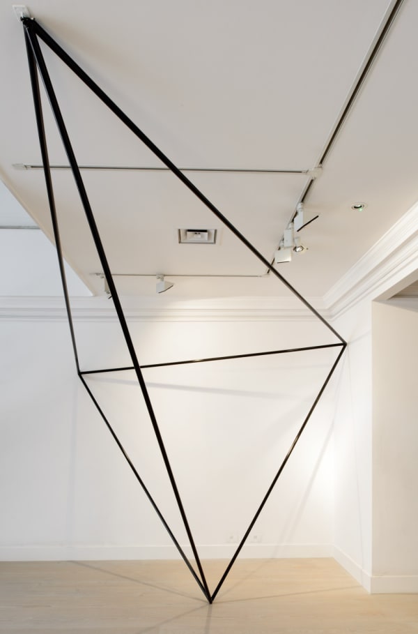 Sergio Calderon, Tetrahedron, 2013