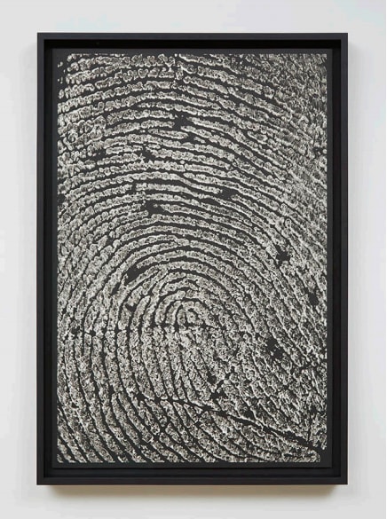 Alinka Echeverria, M-Theory V, 2015