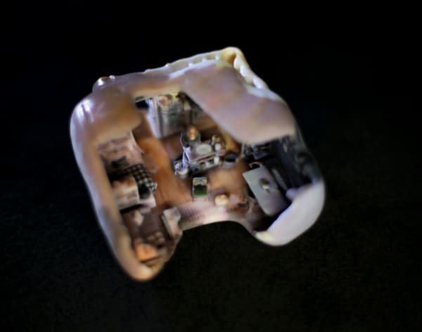 Ziv Schneider & Caitlin Robinson, Amelia, 2017