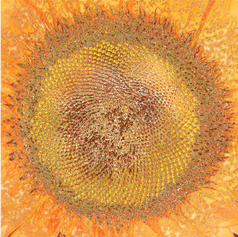 Aziz + Cucher, Scenapse Mithra, 2013