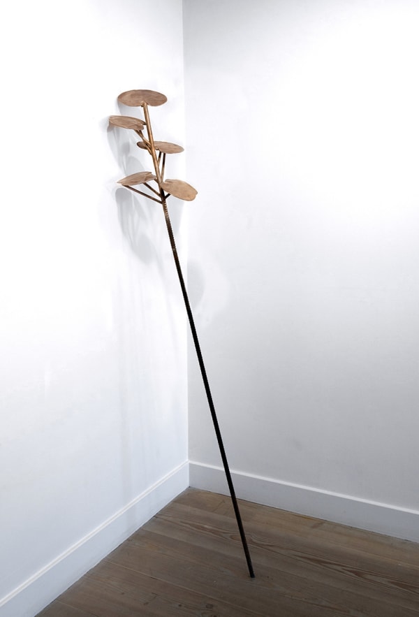 Giovanni Ozzola, Plants - Tus lunares son estrellas, 2016-2018