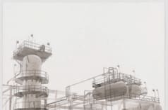 Roxy Paine, Untitled, 2014