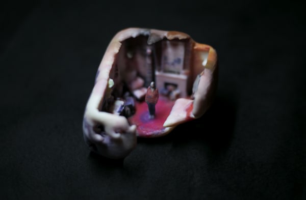 Ziv Schneider & Caitlin Robinson, Alee, 2017