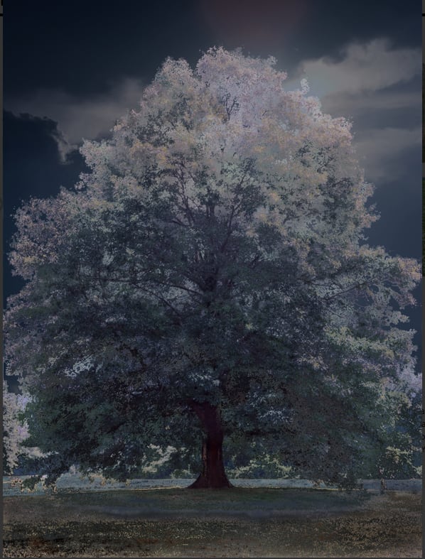 Aziz + Cucher, Scenapse #10 (Berkshire Nocturne), 2011