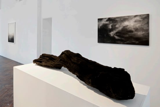 Littlewhitehead, Universal Sidereal, 2010