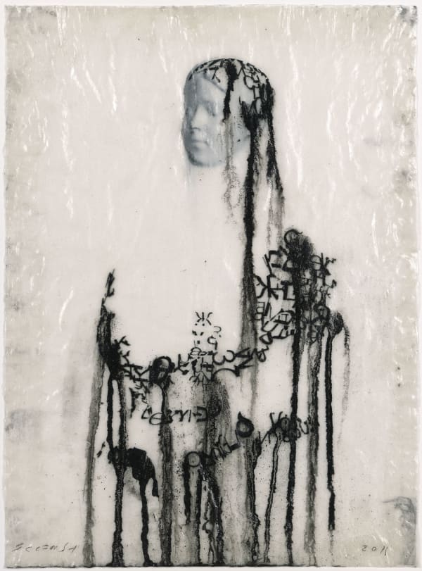 Jaume Plensa, Veiled Shadow XLVII, 2011