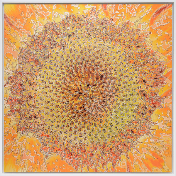 Aziz + Cucher, Scenapse Shemesh, 2013