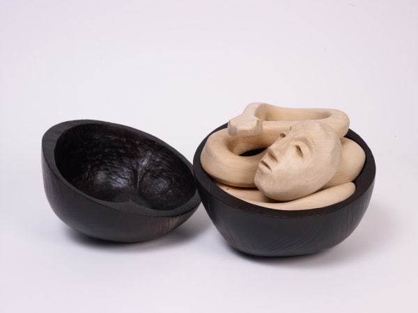 Kalliopi Lemos, Snakes and Apples #1, 2012