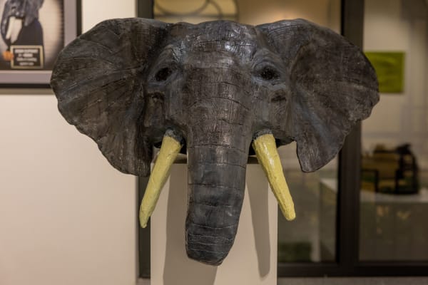 Sabina Jafar, Asian elephant, 2025