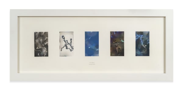 Jake Elwes, Taking a Phone for a Walk (Chicago), 2016