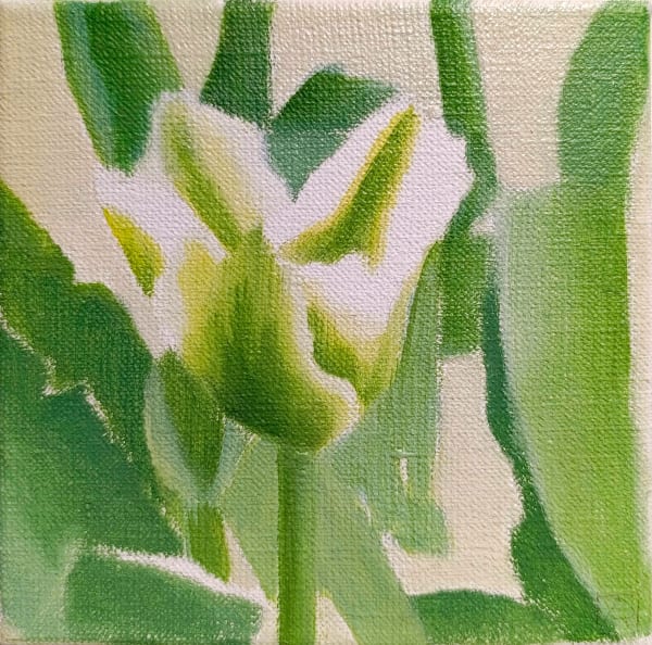 Regina Rzayeva, Fragments, 2025