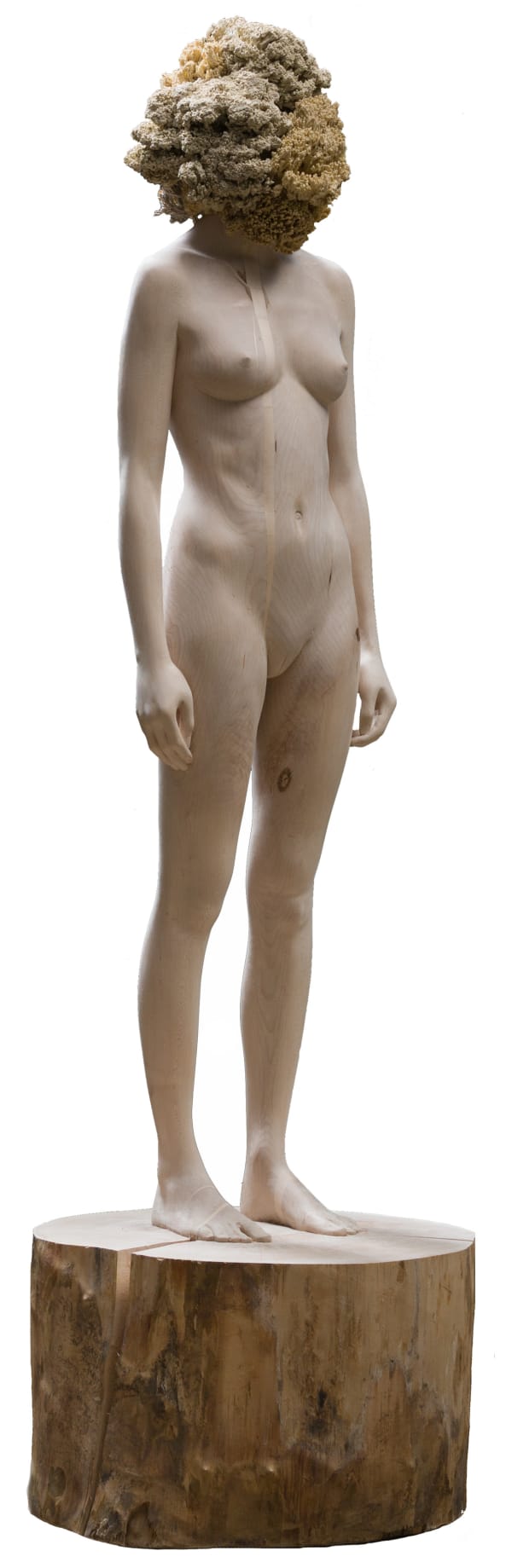 Aron Demetz, Senza Titolo (the tainted), 2013