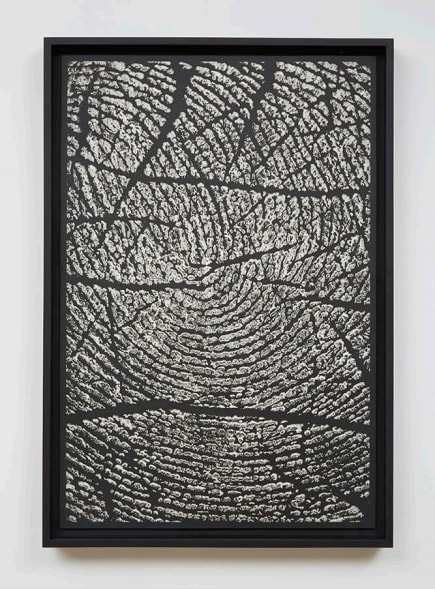 Alinka Echeverria, M-Theory II, 2015