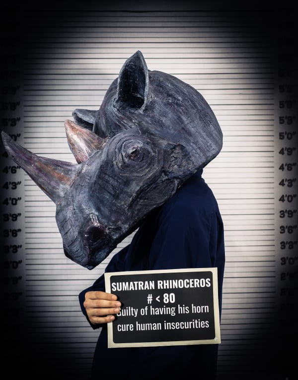 Sabina Jafar, Sumatran rhinoceros, 2025