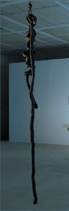 Saad Qureshi, What will Remain, 2011