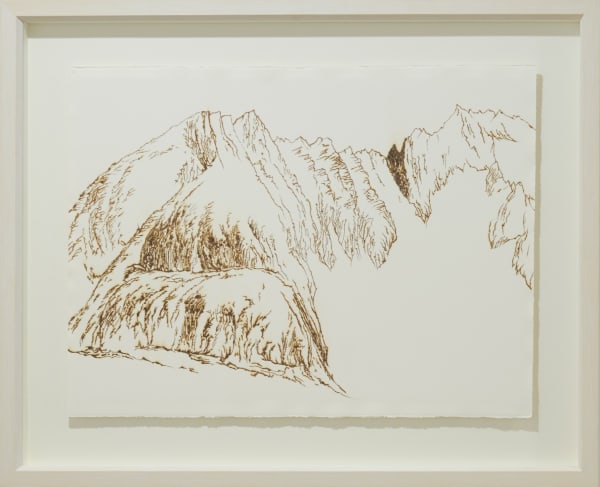 Saad Qureshi, Scorched Lines - S5, 2016