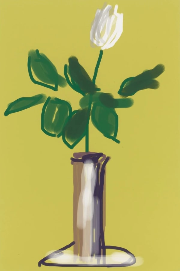 David Hockney, White Rose, 2009