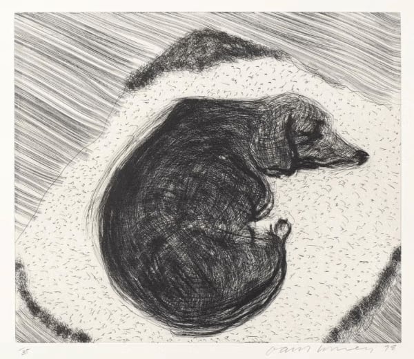 David Hockney Dog Etching No.3, 1998 Etching on paper 30cm x 35cm Edition of 35