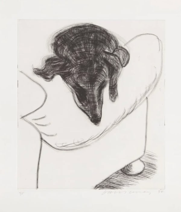 David Hockney Dog Etching No.10, 1998 Etching on paper 48cm x 42cm Edition of 35