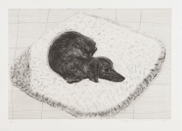 David Hockney Dog Etching No. 12, 1998 Etching on paper 56cm x 75cm Edition of 35