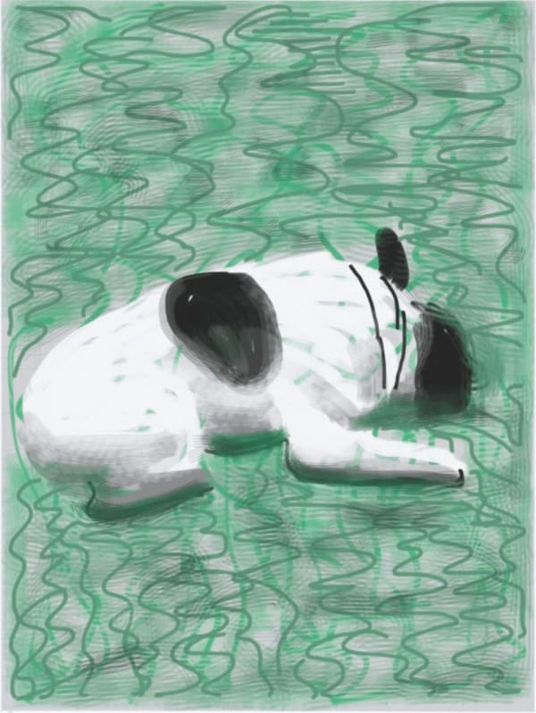 David Hockney, Untitled 456, Moujik , 2010