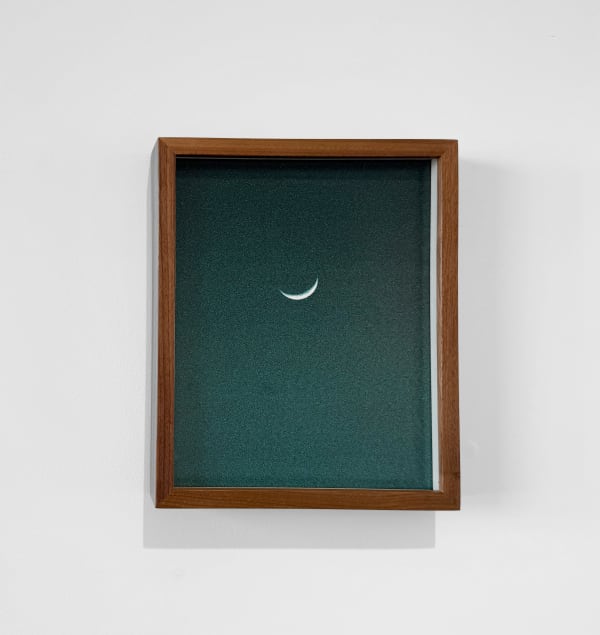 Katie Shapiro, Green Moon, 2025