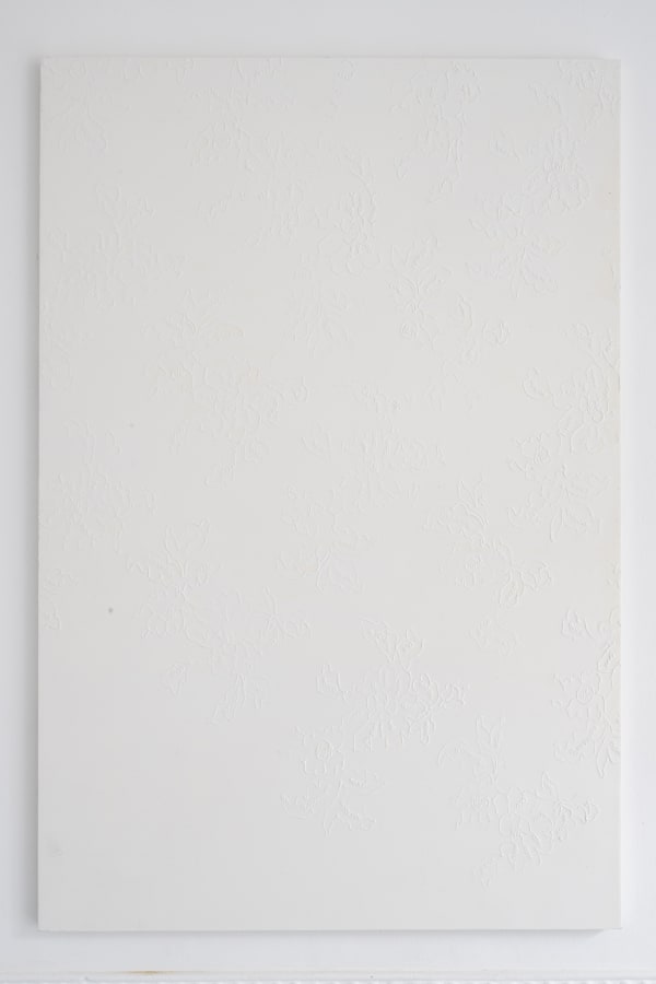 Anaïs Comer, Miss, 2024