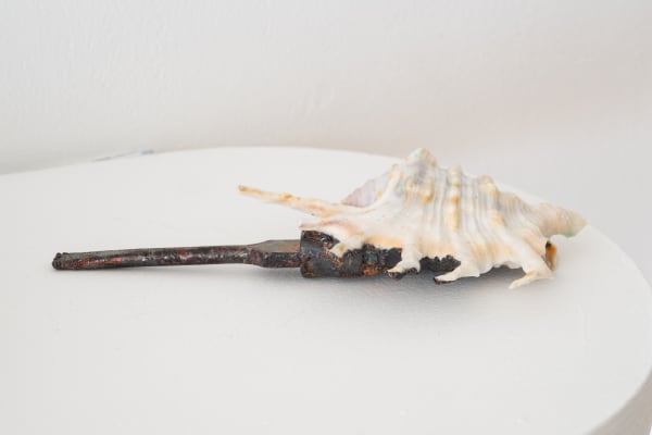 Emma Witter, Unidentified Object, 2024